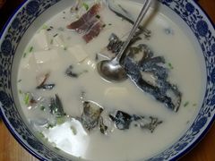 -全乐鱼馆·淳牌有机鱼直营店