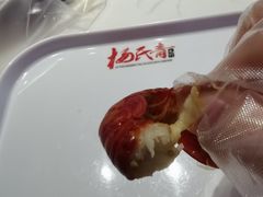 -杨氏青龙虾·羊蝎子(托乐嘉店)