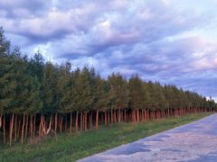 -塞罕坝国家级自然保护区