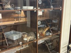 -Apple零售店(西单大悦城店)