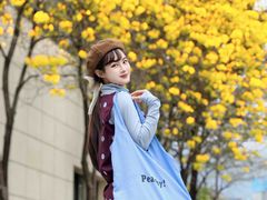 -光明港公园