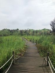 -水八仙生态园