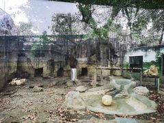 -成都动物园