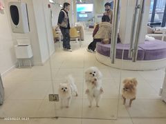 -怪兽屋·羊驼·猫咖·狗咖(俊华广场店)