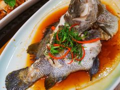 -醉壹号海鲜大排档·老厦门特色菜(厦门美食地标店)