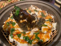 秘制酱焗龙胆石斑-上屿水产(鼓浪屿一店)