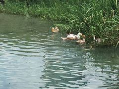 -乡乐园蟹庄·阳澄湖农家乐