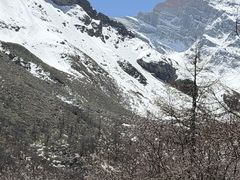 -黄龙山原始森林景区