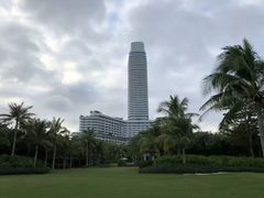 -瑰丽酒店·海吧·天际下午茶·现场DJ·天台酒吧