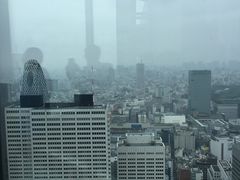-东京都厅舍