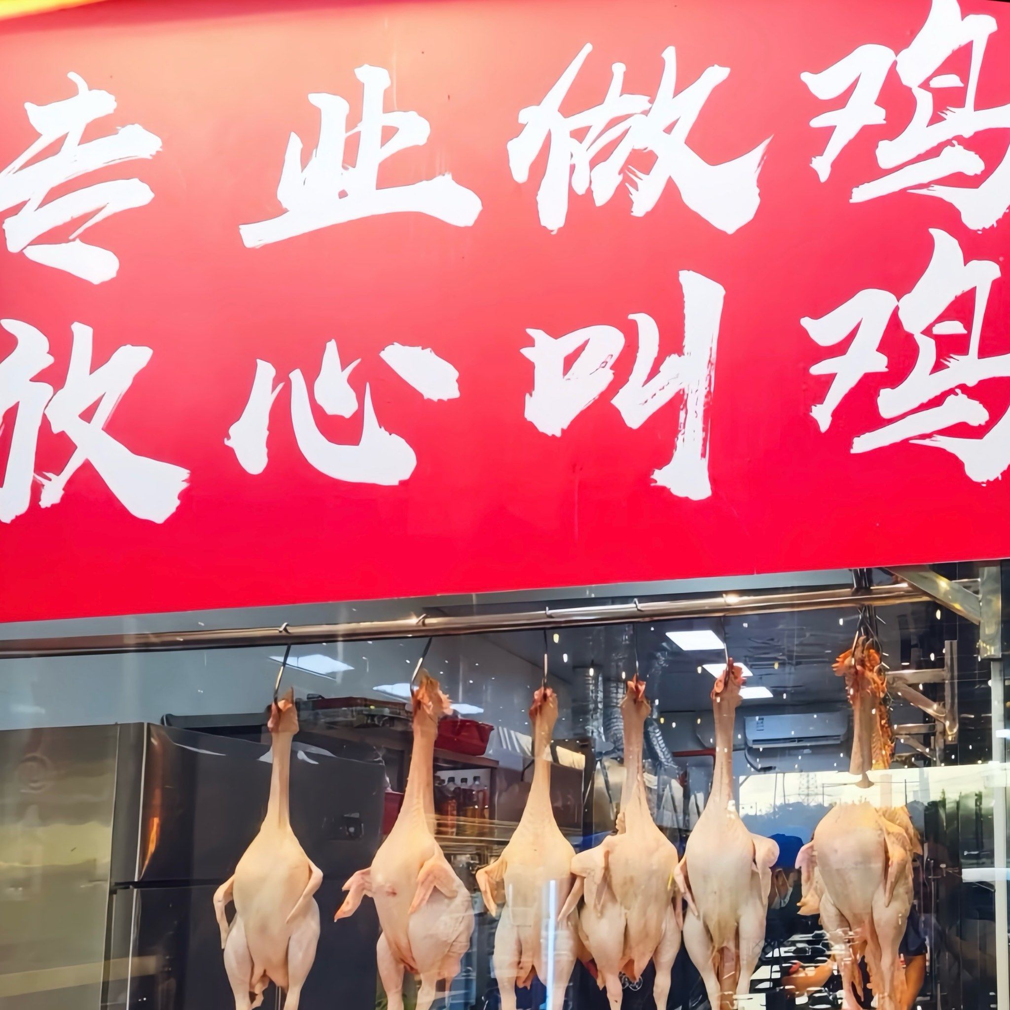 老板说了🗣️专业做鸡 放心点鸡🐔