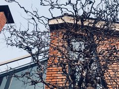 -拿渡·水煮鱼麻辣香锅(王府井奥莱·香江小镇店)