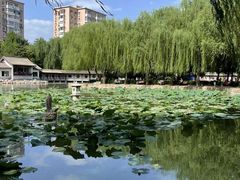 -团结湖公园
