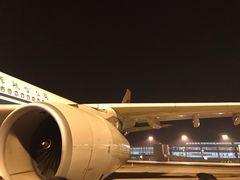 -上海浦东国际机场-T2航站楼