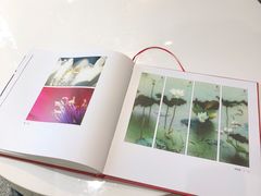 -莫内艺术岛海景咖啡