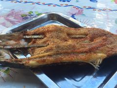 -新疆风味冷水鱼庄(友谊峰路店)