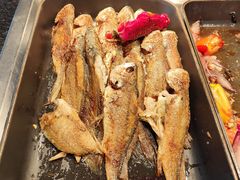 -Social 秀西餐厅-长沙瑞吉酒店(运达店)