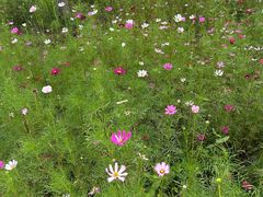 -生态苑农庄(十里画廊遇龙河店)