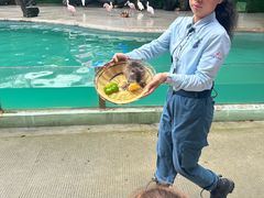 -广州长隆飞鸟乐园