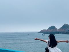-枸杞岛