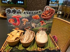 -季季山·云南野生菌火锅(上海首店)