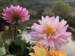 -苏州上方山国家森林公园