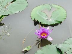 景点-上海长兴岛郊野公园