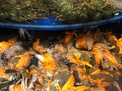 -海景壹号大酒店(滨湖店)