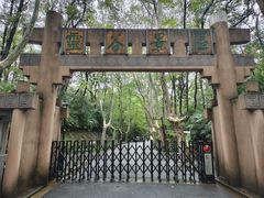 -灵谷景区