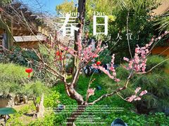 -龙华寺