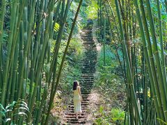 -蜀南竹海景区