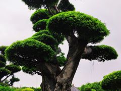 -南宁南湖公园