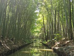 -同里国家湿地公园