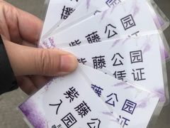 -嘉定紫藤园