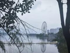 -飞来湖湿地公园