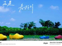 -上海都市菜园