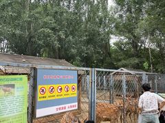 -长白岛森林公园