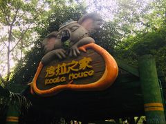 -广州长隆野生动物世界