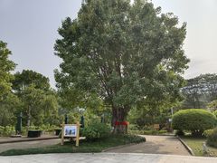 -福建鲤鱼洲酒店