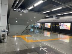 -向西村(地铁站)