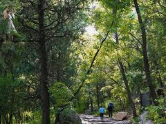 -阳台山自然风景区