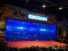 -白鹿仓冰雪海洋世界