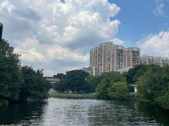 -荔湾湖公园