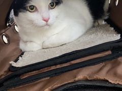 -德元·美联众合24小时动物医院(总院)