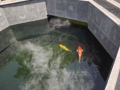 -西安市广仁寺