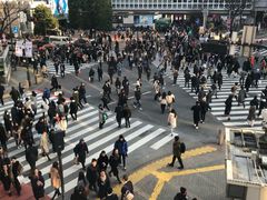 -涩谷区