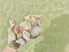 -日照世帆赛基地