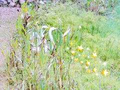 -神光山国家森林公园