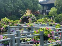 -无锡蠡湖国家湿地公园-蠡园
