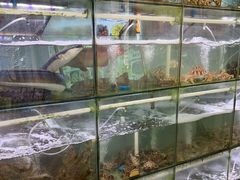 -海之鲜大排档(东山海鲜金銮湾店)